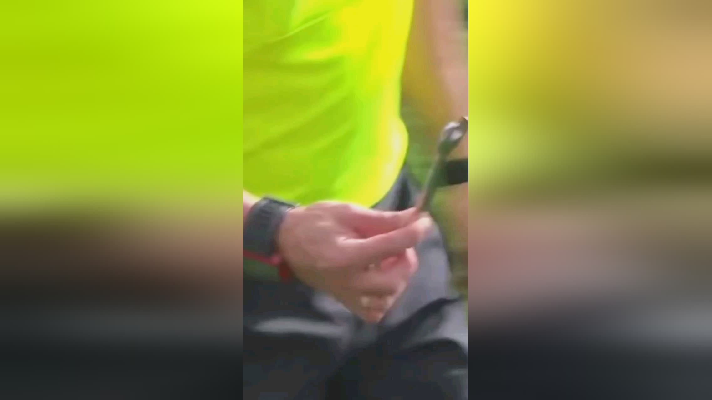 析其